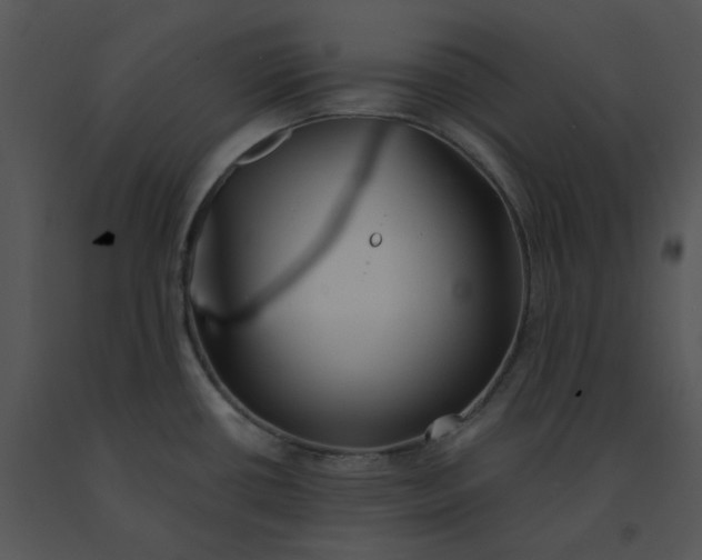 X0000091531434200708311301