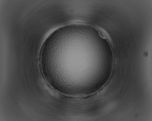 X0000091531435200708311301