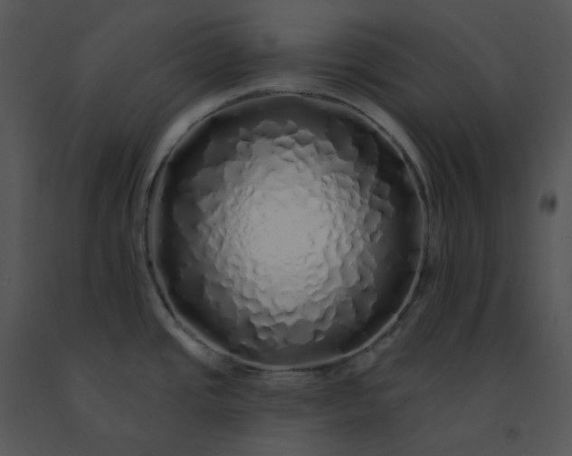 X0000091531437200708311301