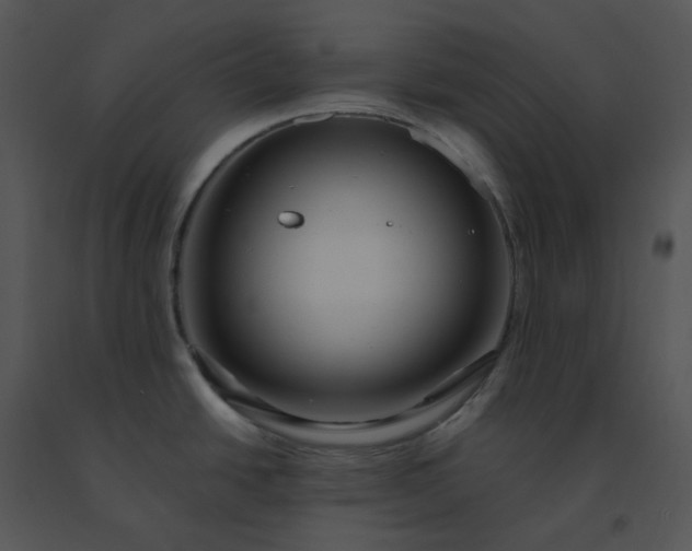 X0000091531438200708311301