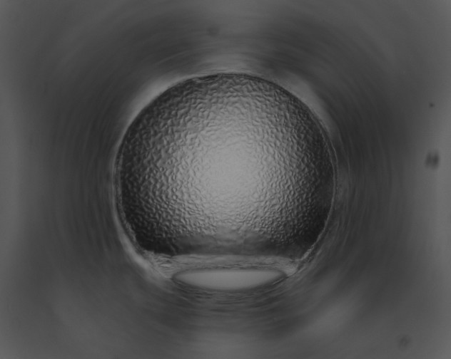 X0000091531439200708311301