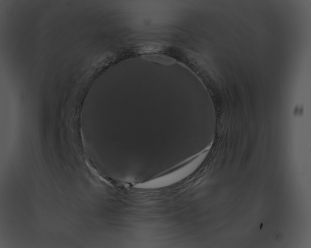 X0000091531441200708311301