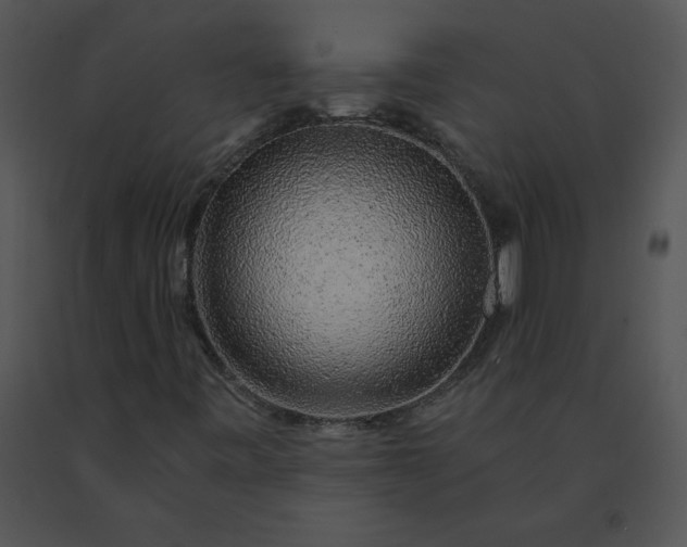 X0000091531443200708311301