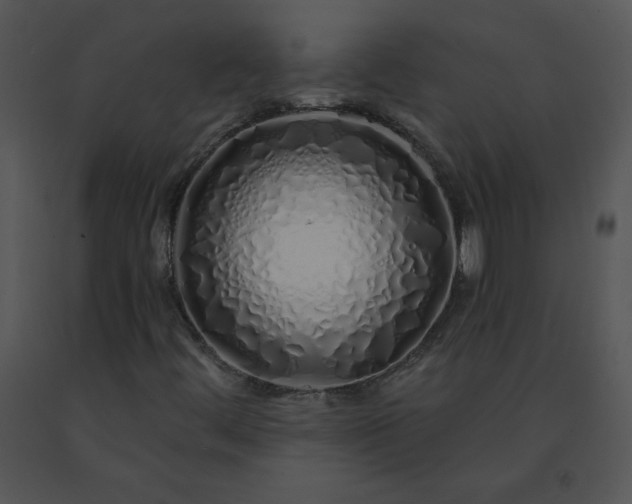 X0000091531444200708311301