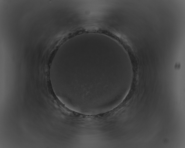 X0000091531445200708311300