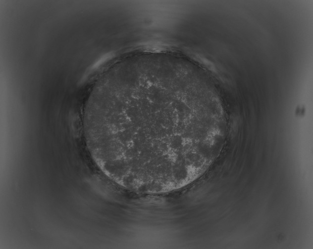 X0000091531446200708311300