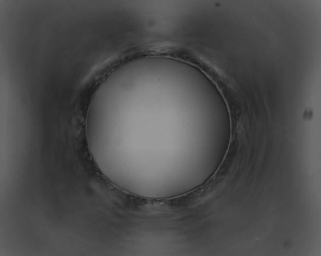 X0000091531447200708311300