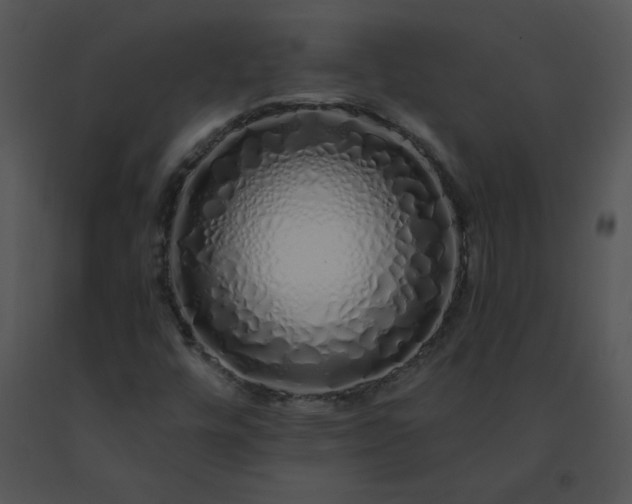 X0000091531448200708311300
