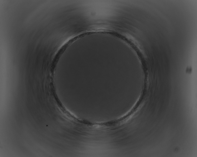 X0000091531449200708311300