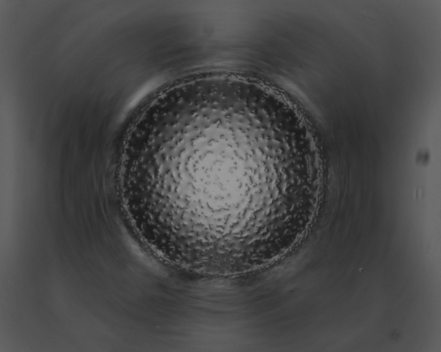 X0000091531450200708311300