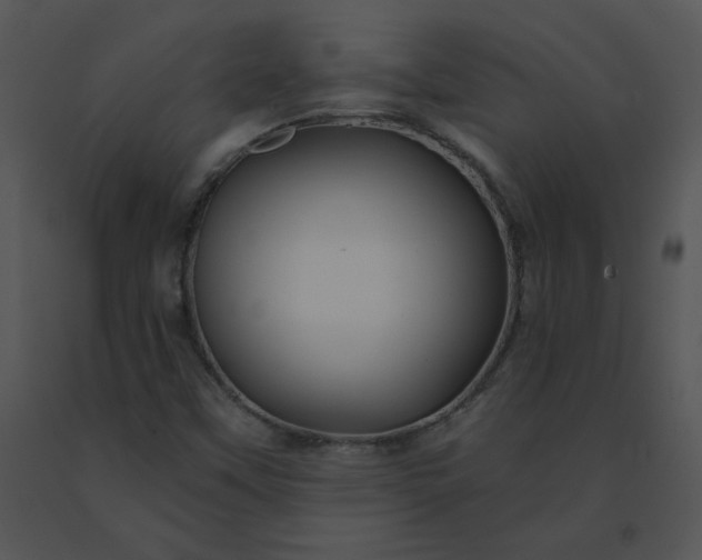 X0000091531451200708311300