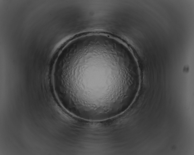 X0000091531452200708311300