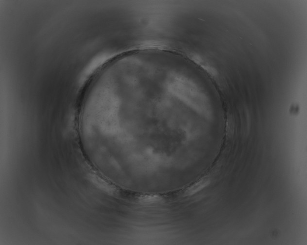 X0000091531454200708311300