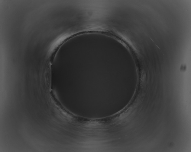 X0000091531455200708311300