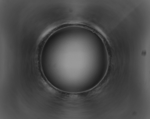 X0000091531456200708311300