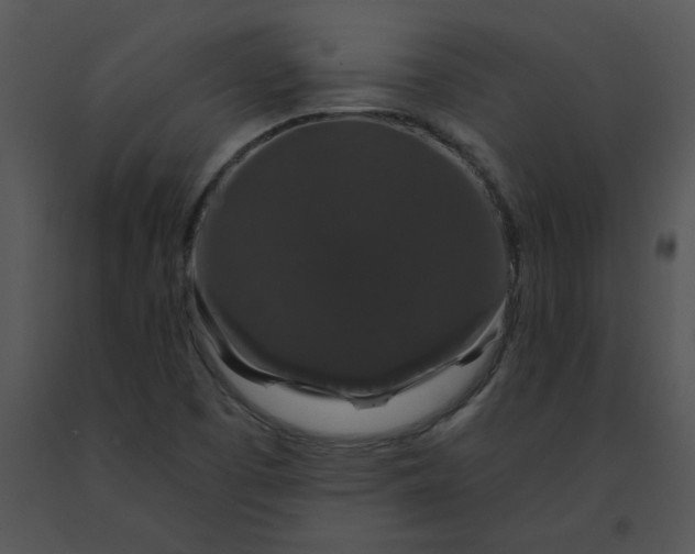 X0000091531457200708311300