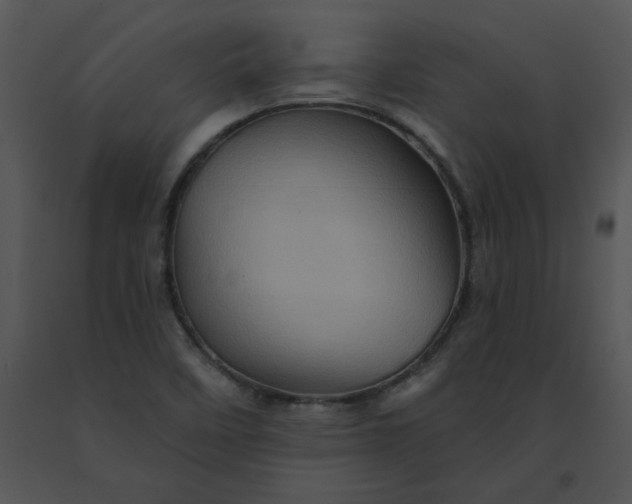 X0000091531458200708311300