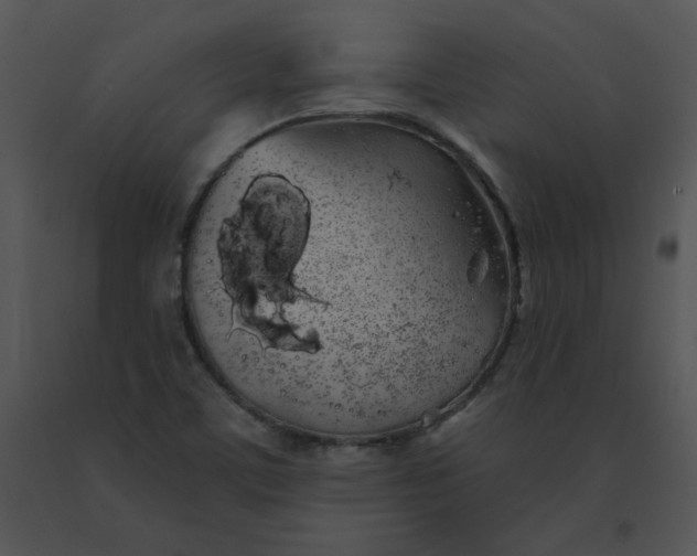 X0000091531459200708311300