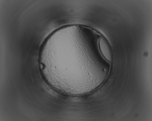 X0000091531460200708311300