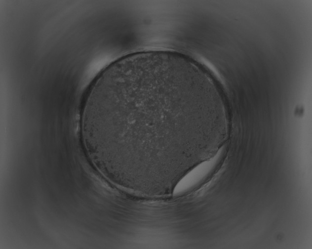 X0000091531461200708311300