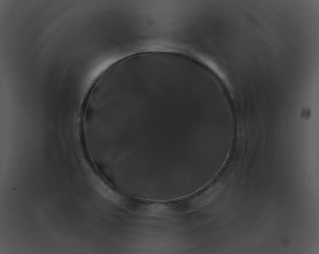 X0000091531463200708311300