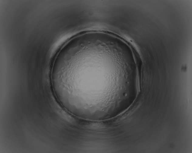 X0000091531464200708311300