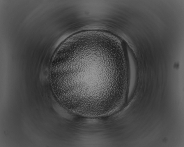 X0000091531465200708311300