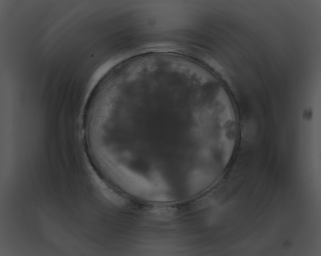 X0000091531466200708311300