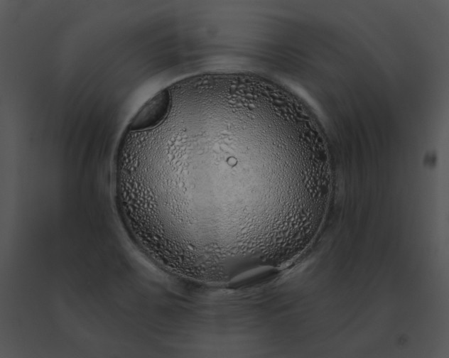 X0000091531467200708311300