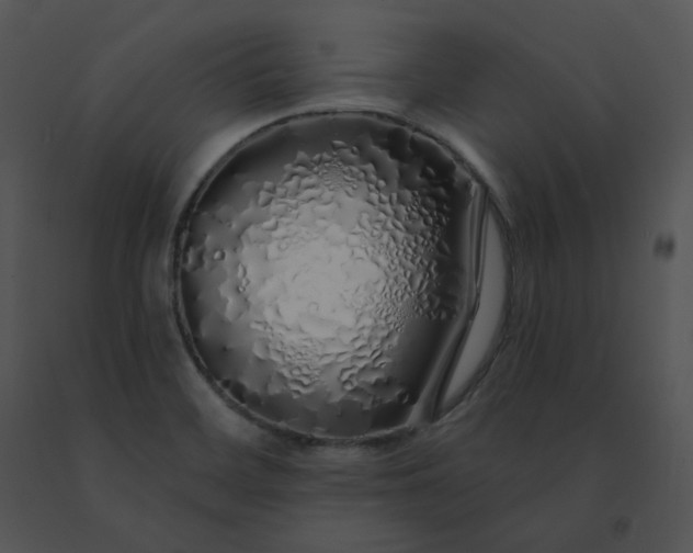 X0000091531468200708311300