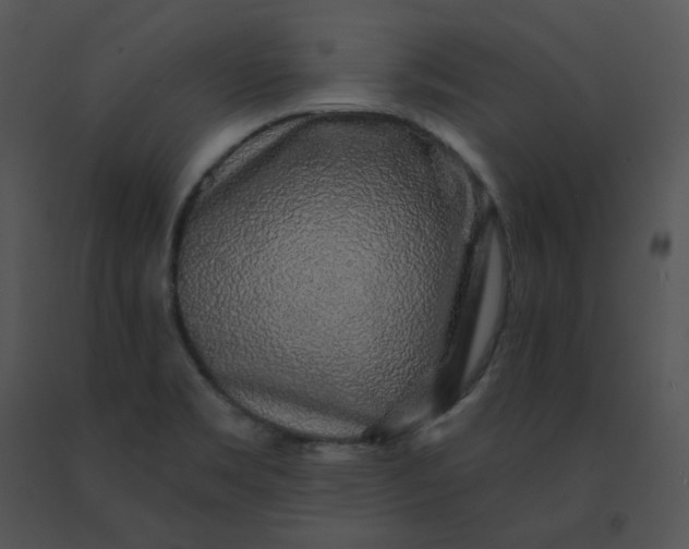 X0000091531469200708311300