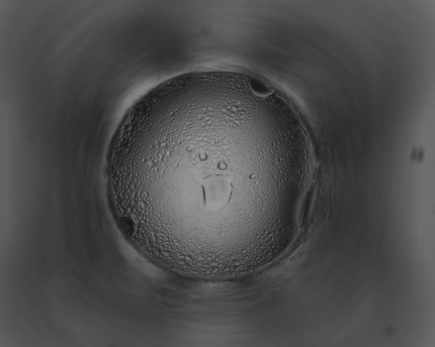 X0000091531471200708311300