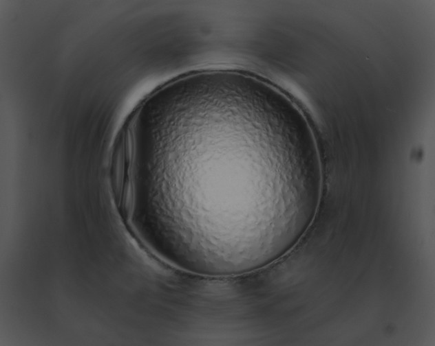 X0000091531472200708311300