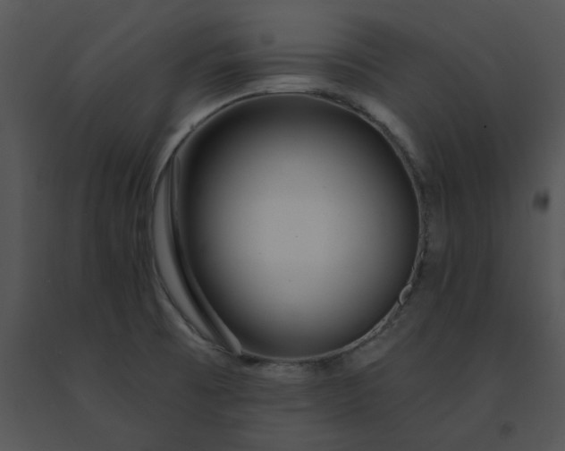 X0000091531473200708311300