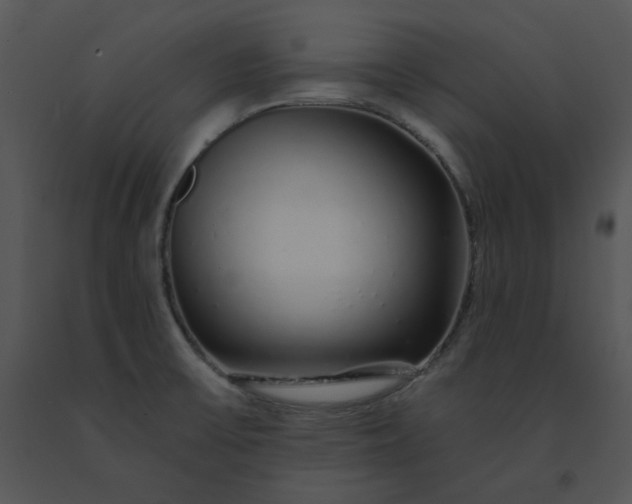 X0000091531475200708311300