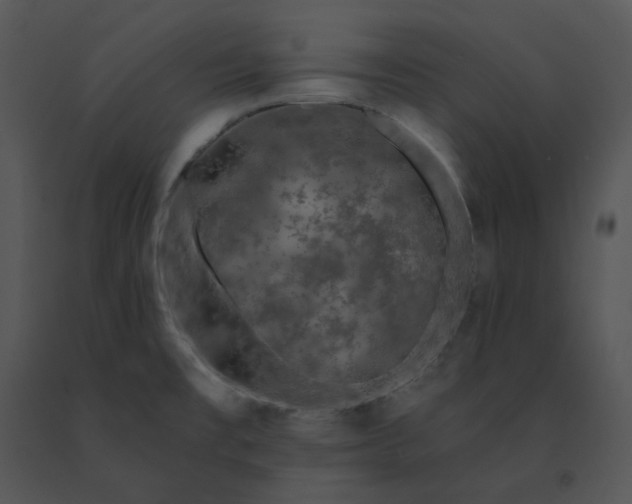 X0000091531477200708311300
