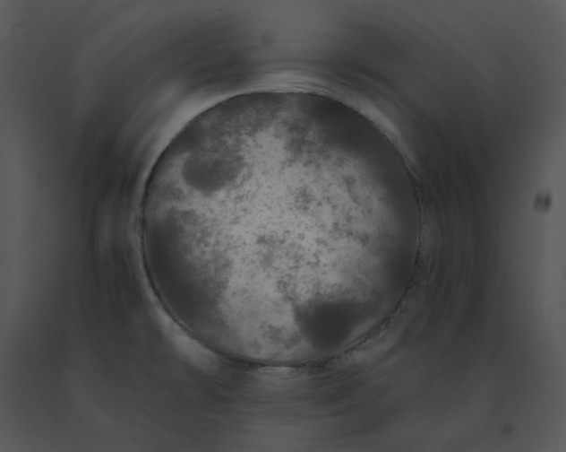 X0000091531478200708311300