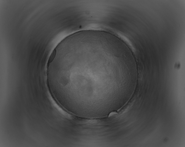 X0000091531479200708311300