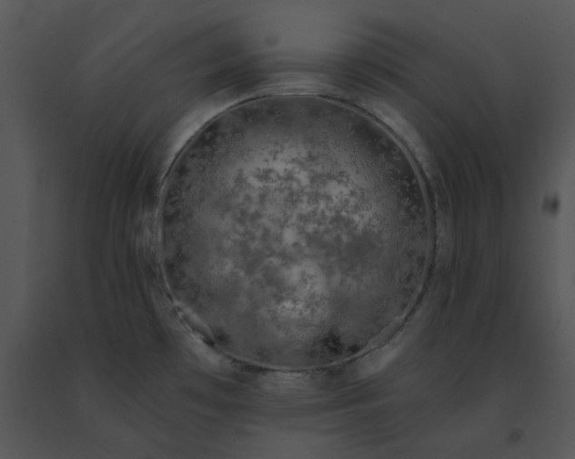 X0000091531481200708311300