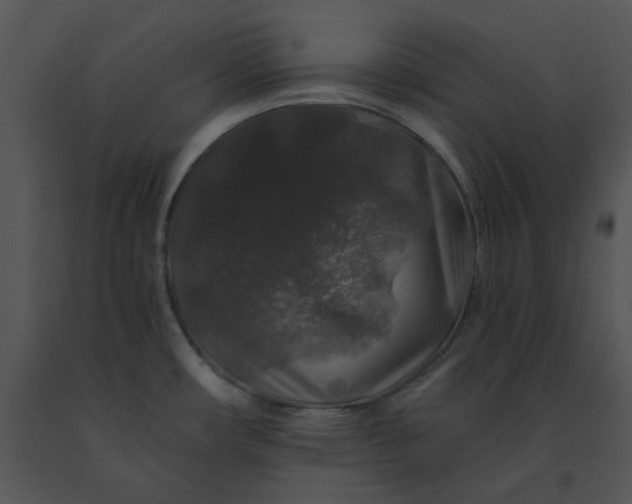 X0000091531482200708311300