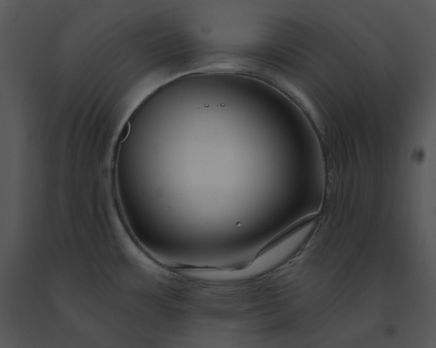 X0000091531483200708311300