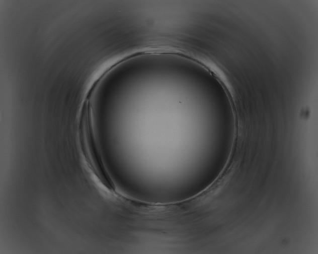 X0000091531485200708311300