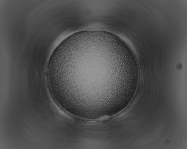 X0000091531486200708311300