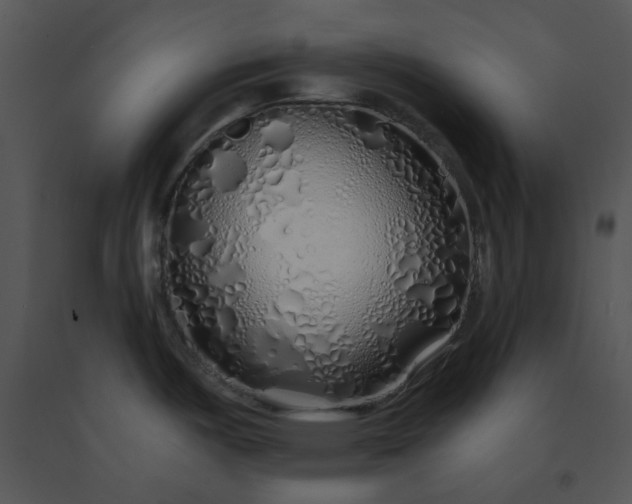X0000091531487200708311300