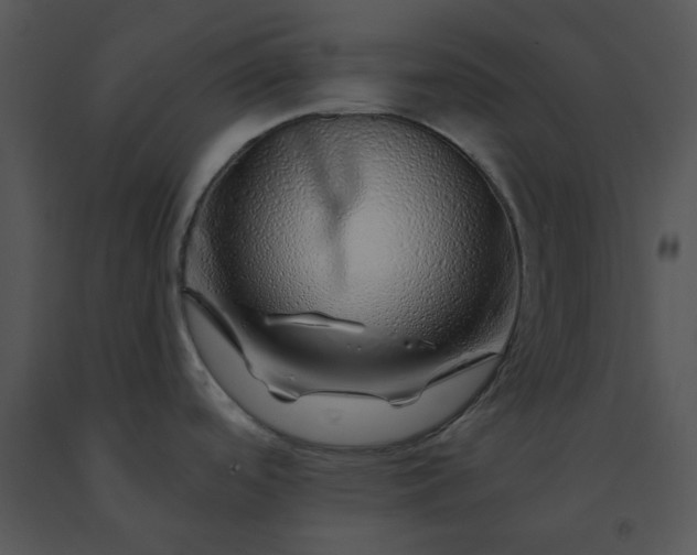 X0000091531488200708311300