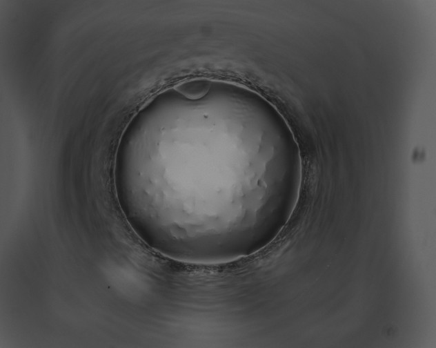 X0000091531489200708311259