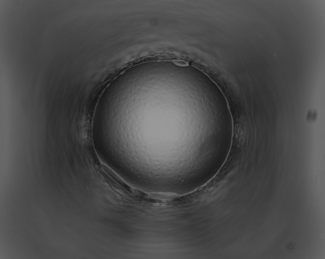 X0000091531490200708311259
