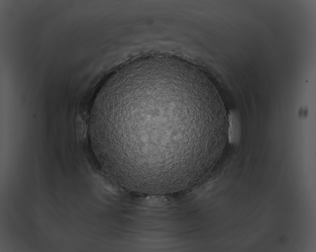 X0000091531491200708311259