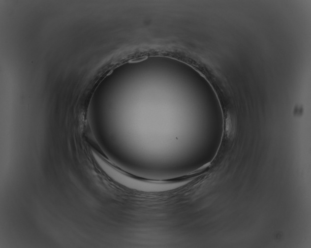 X0000091531492200708311259