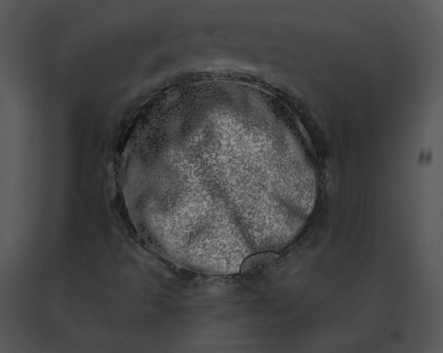 X0000091531493200708311259